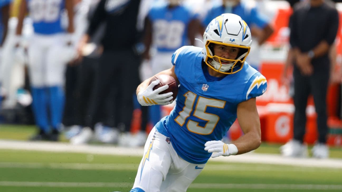 Ladd McConkey of the Los Angeles Chargers has a 19% target share this season.