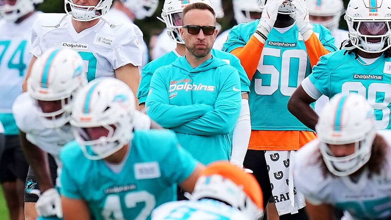 LEAD: Dolphins Rebuild