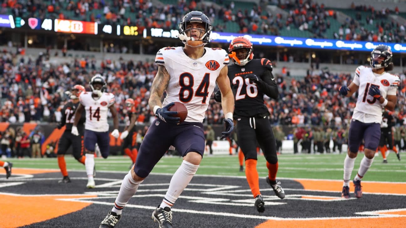Colston Loveland led the Bears in receptions and receiving yards as a rookie, leading him to being the No. 3 TE taken in fantasy drafts this year.