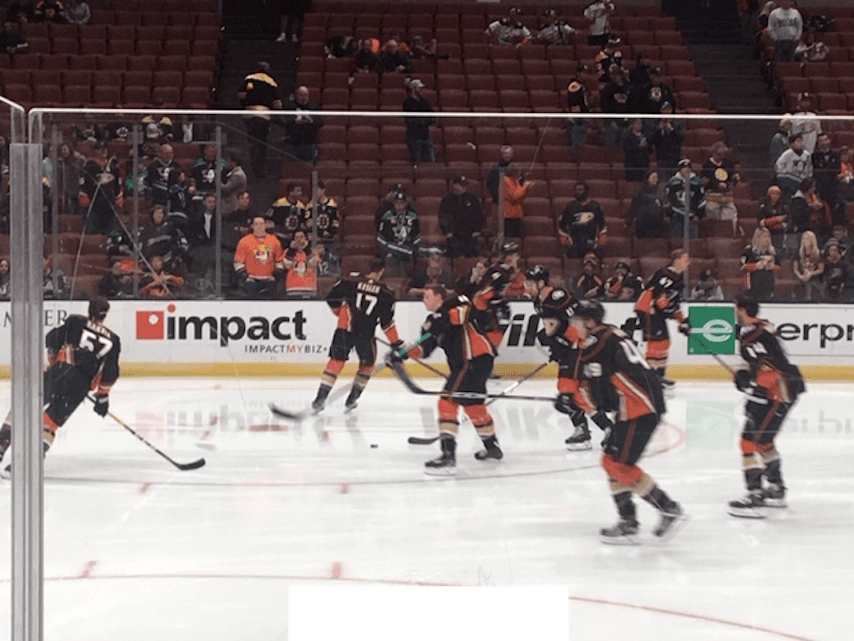 Anaheim Ducks Warming Up