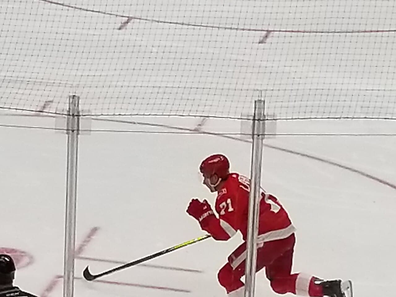 Dylan Larkin