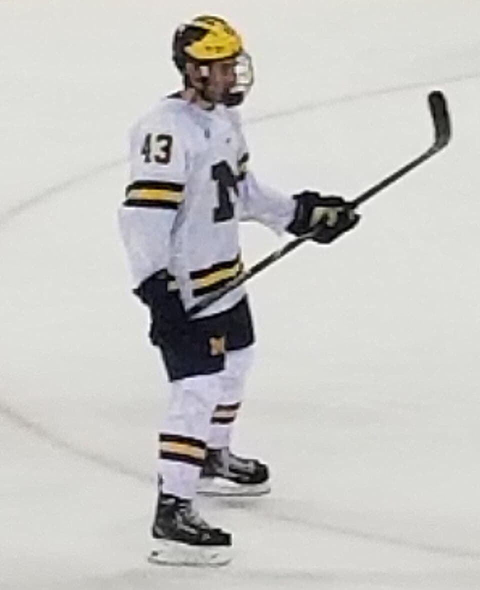 Quinn Hughes of the Minnesota Wild