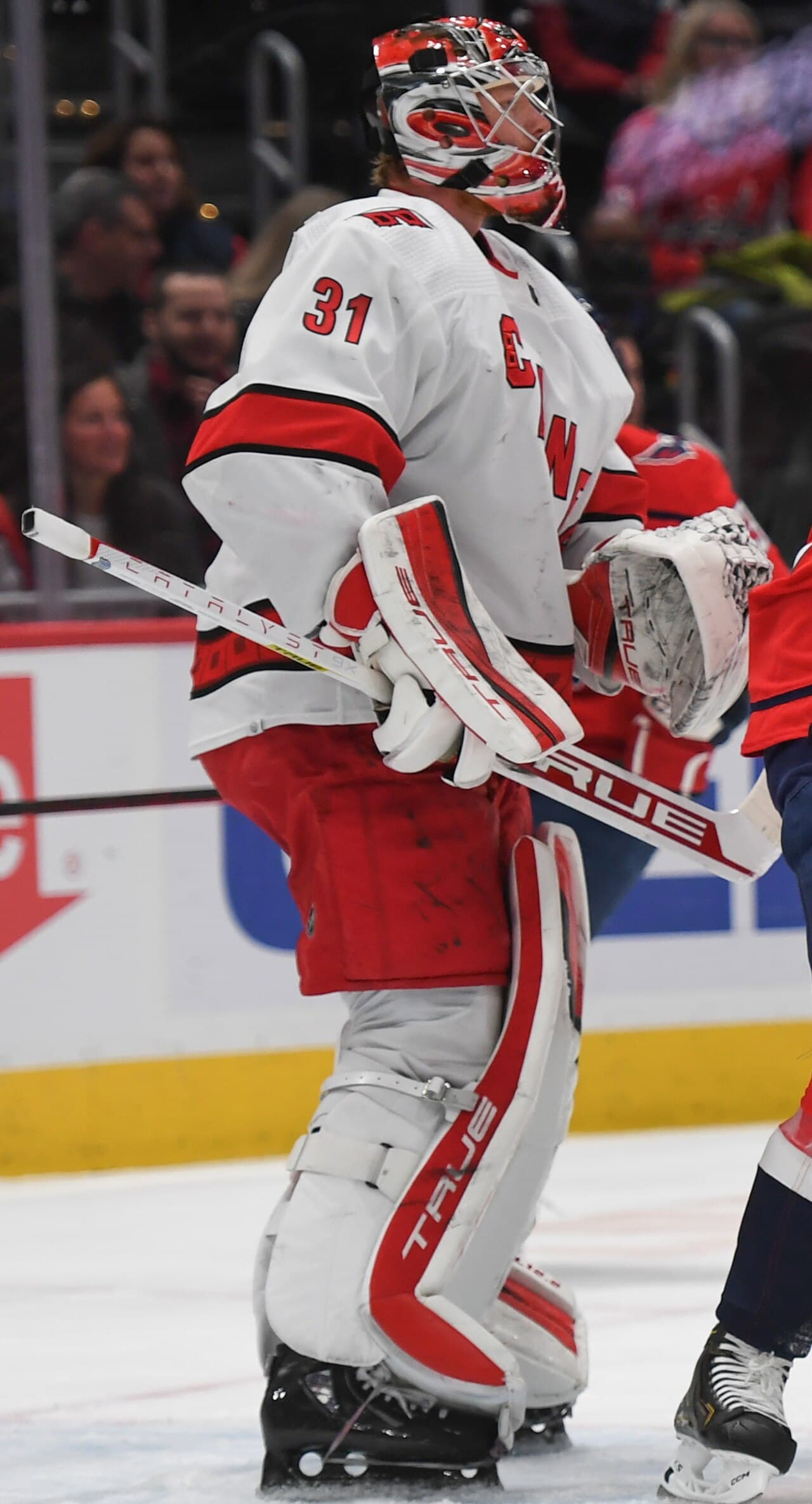 Frederik Andersen (51916832126) (cropped)